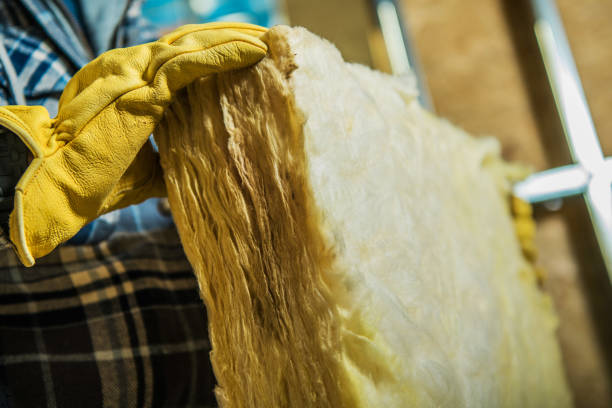 Best DIY Insulation Kits and Guidance in Winnfield, LA