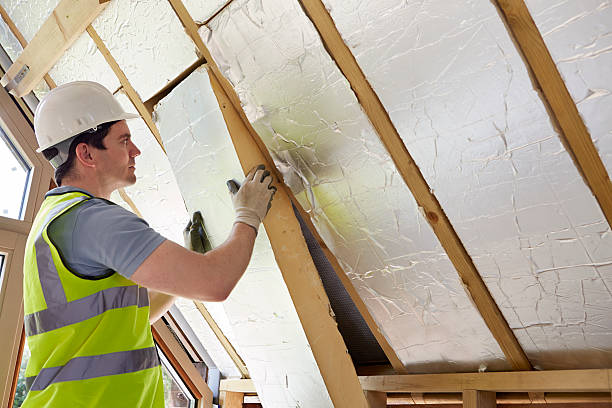 Professional Insulation Contractor in Winnfield, LA