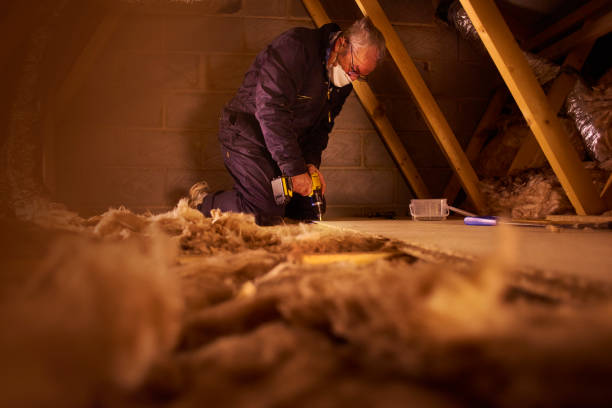 Best Specialized Insulation Services in Winnfield, LA